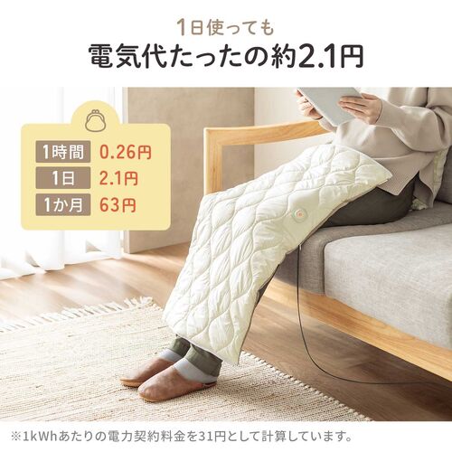 2WAYフットウォーマー USB A給電式 ミニ電気ブランケット ひざ掛け 3段階温度調整 ホワイト
