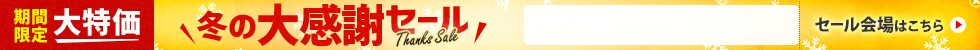 冬の大感謝セール　2/13 16時50分から2/27 16時まで
